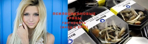 соль ск Алзамай