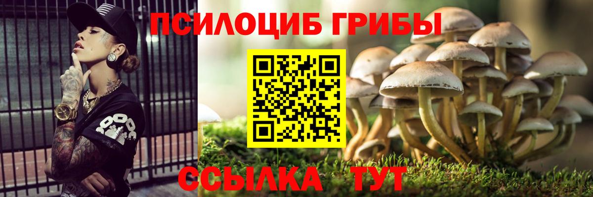 Галлюциногенные грибы ЛСД  Псилоцибиновые грибы Psilocybe  Вход с VPN  Калининград 