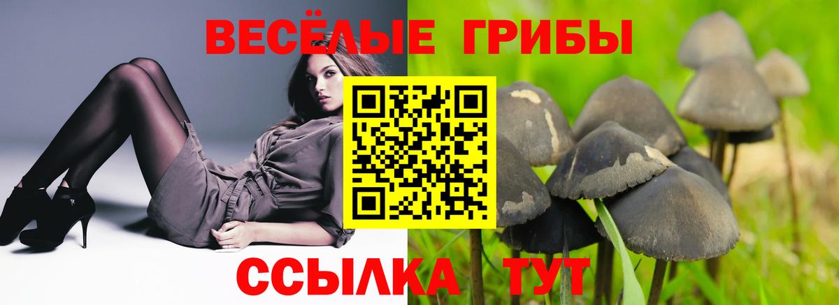 Галлюциногенные грибы Cubensis Калининград